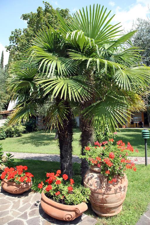 Hotel Sailing Center Malcesine Dış mekan fotoğraf